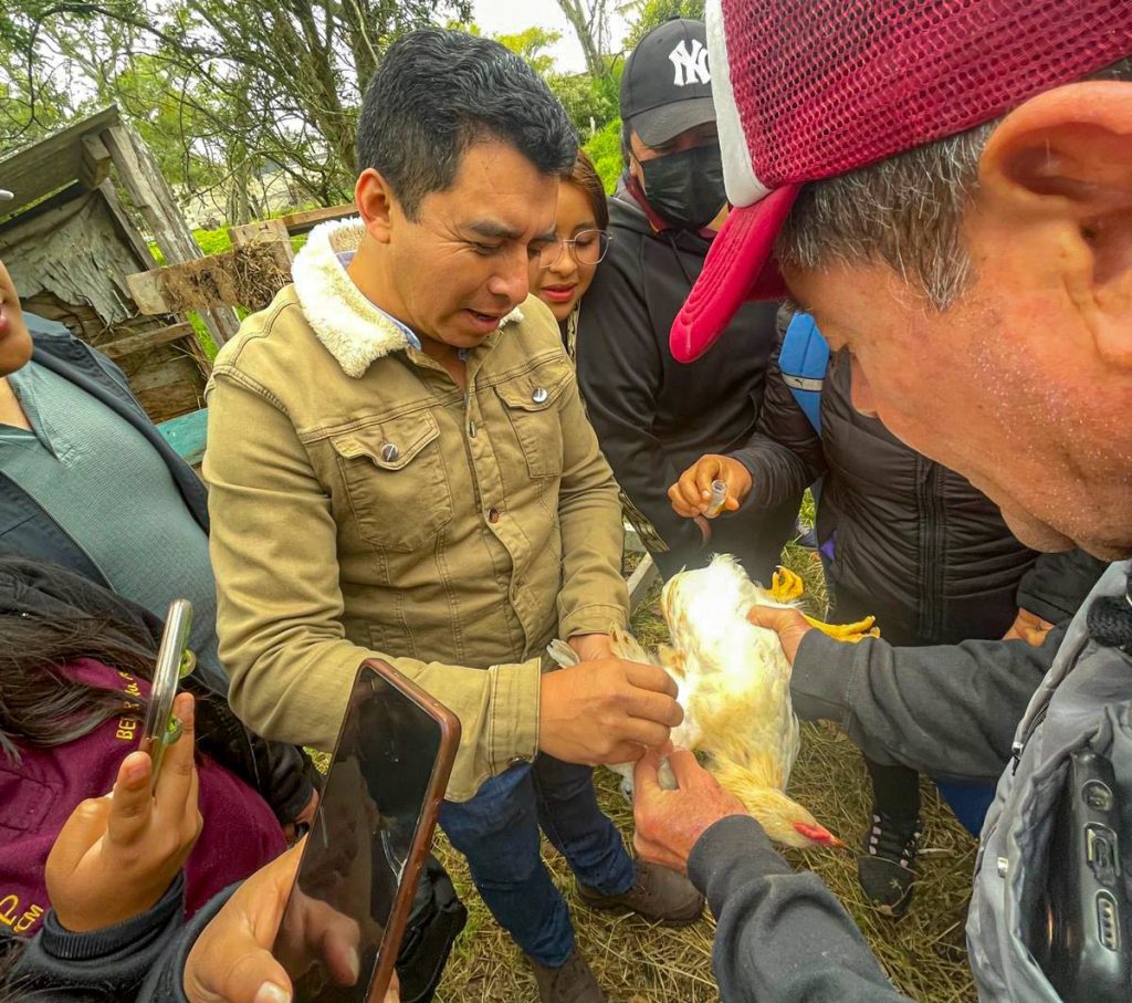 En Zapata, vacunamos a dos mil 500 aves de traspatio para prevenir enfermedades.